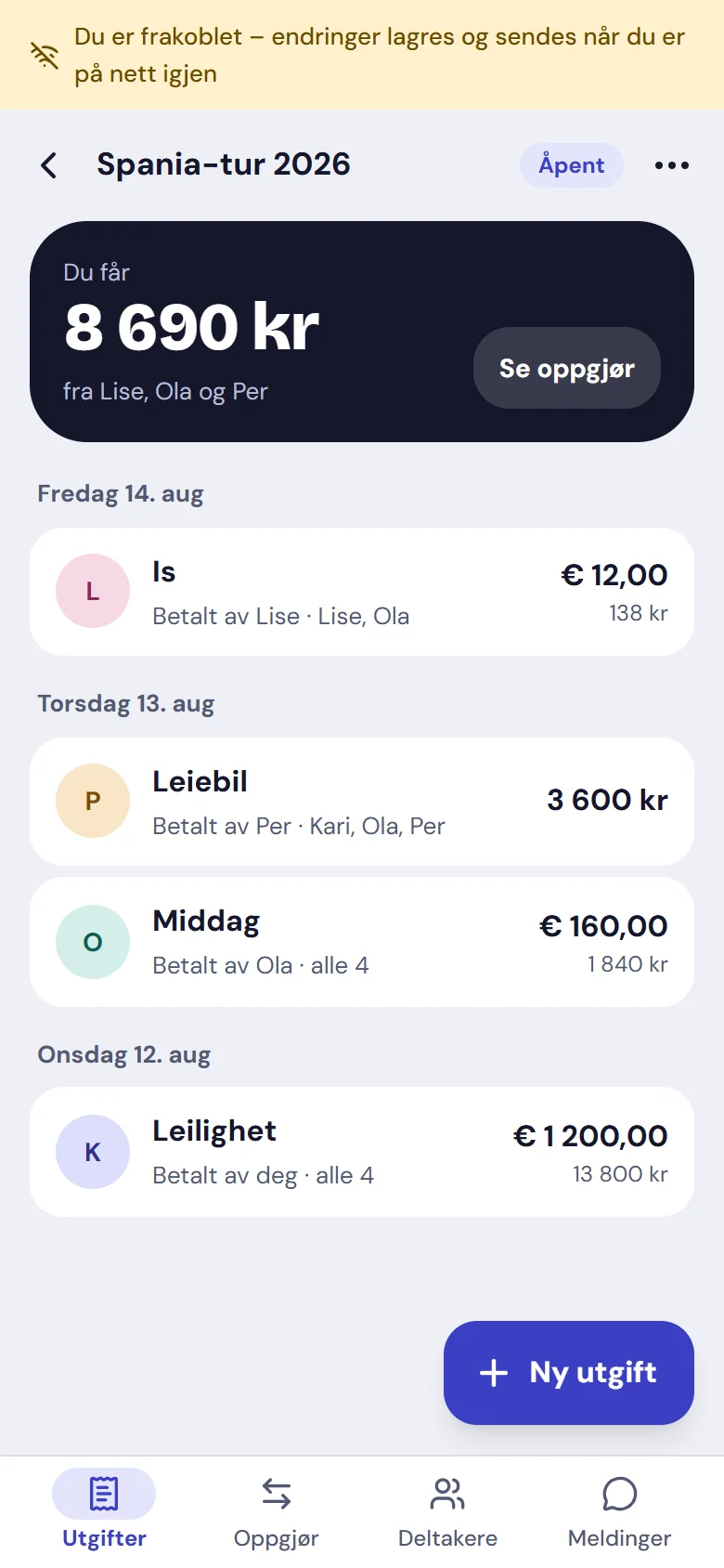 Utgiftene uten nett